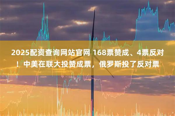 2025配资查询网站官网 168票赞成、4票反对！中美在联大投赞成票，俄罗斯投了反对票